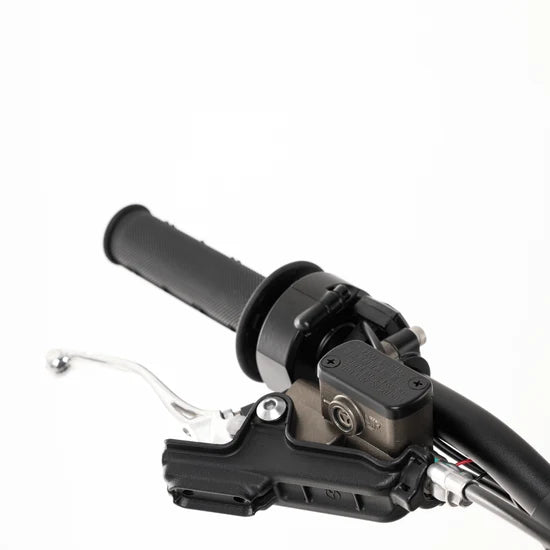 Arctic Leopard XE PRO R
