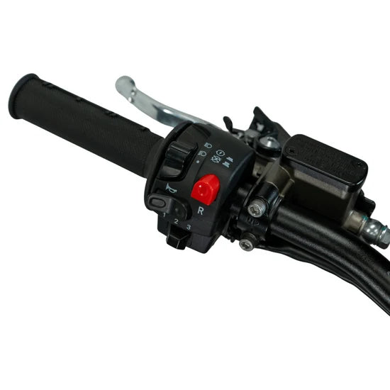 Arctic Leopard XE PRO R